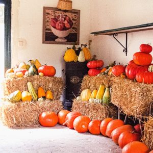 Taller de calabazas Sábado 10 de Octubre