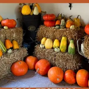 Taller de calabazas Sábado 17 de Octubre
