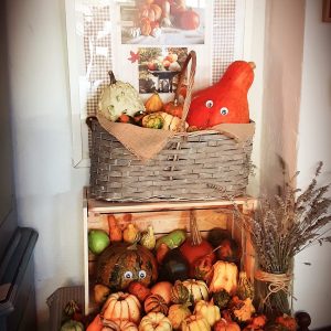 Taller de calabazas Sábado 11 de Octubre
