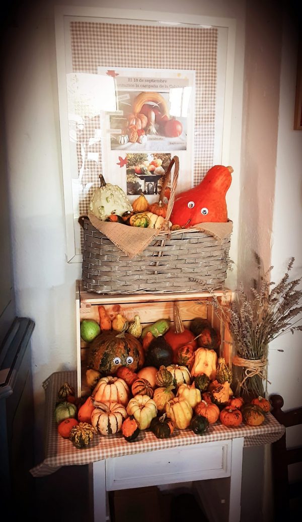 Taller de calabazas Sábado 11 de Octubre
