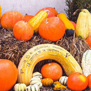monjarama calabazas